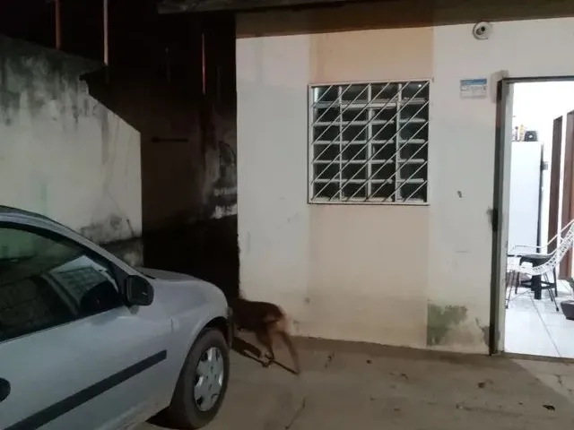 Imagem: Alugo Casa Vg