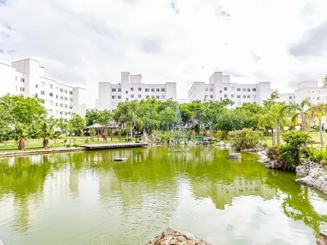 Imagem 4: Alugo Apartamento Pinheirinho