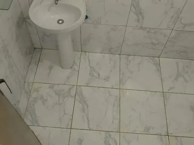 Imagem 11: Aluga Se Kitnet com 1 dormitório