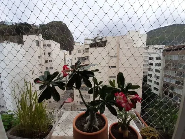 Imagem 16: Copacabana 3 Quartos com Garagem