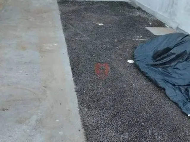 Imagem 2: Casa com 3 Dormitórios À Venda, 81 M² por R$ 480.000,00 - Terranova - Gravataí/Rs