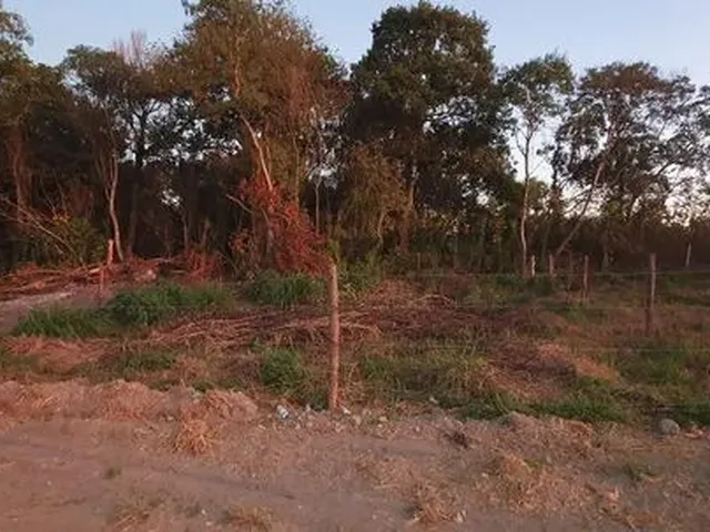 Imagem 1: Lote de 300 Metros na 26 de Setembro