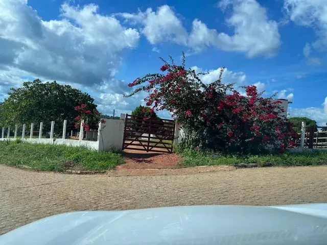 Imagem: Excelente Chácara no Sítio Caracol
