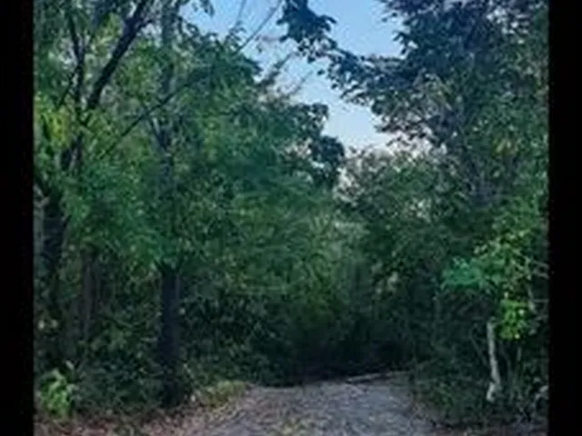 Imagem: Sitio a Venda em Antônio Diogo Redenção