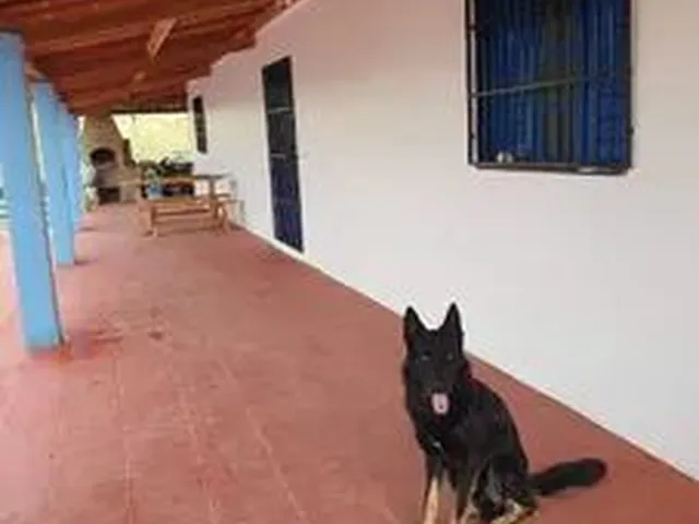 Imagem 3: Sitio a Venda em Antônio Diogo Redenção