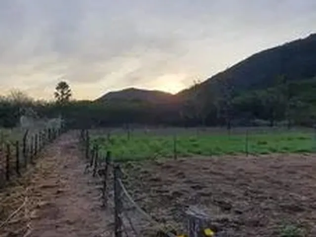 Imagem 6: Sitio a Venda em Antônio Diogo Redenção