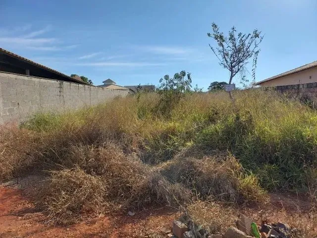Imagem: Lote Terreno em Martinho Campos na Orla