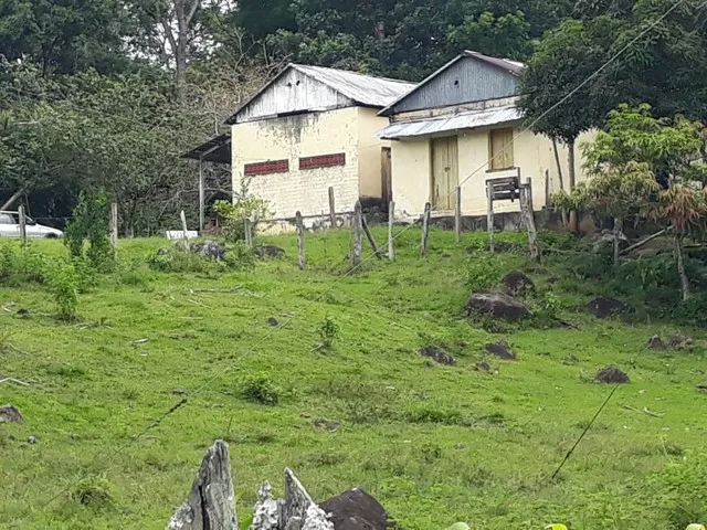 Imagem: Vendo Excelente Fazenda Mista Cacau e Pasto