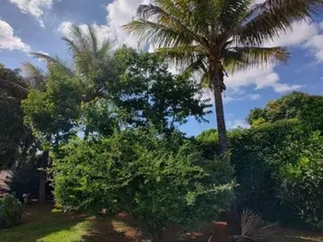 Imagem 5: Casa de Condomínio em Terreno de 1.200M2