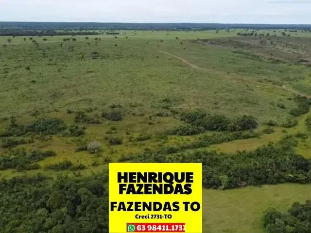 Imagem: Fazenda Dupla Aptidão Região Sul do Tocantins