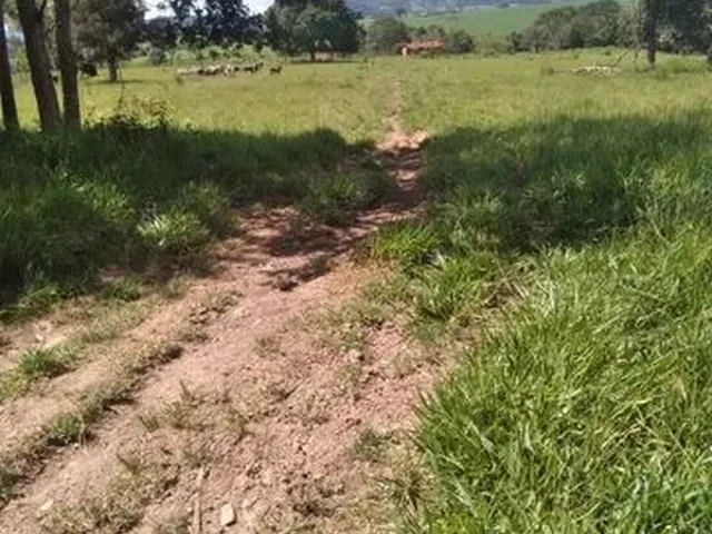 Imagem 1: Terra em Itaberaí -Go - Muito Boa