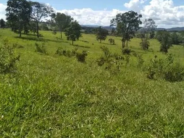 Imagem 3: Terra em Itaberaí -Go - Muito Boa