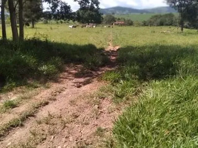 Imagem 5: Terra em Itaberaí -Go - Muito Boa