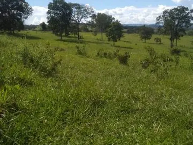 Imagem 7: Terra em Itaberaí -Go - Muito Boa