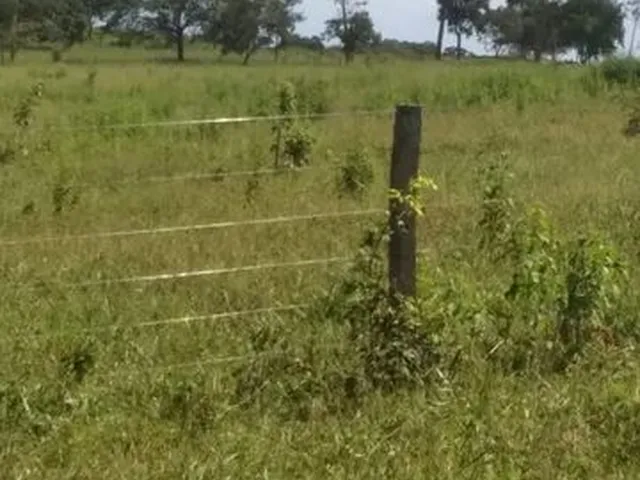 Imagem 11: Terra em Itaberaí -Go - Muito Boa