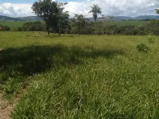 Imagem 15: Terra em Itaberaí -Go - Muito Boa