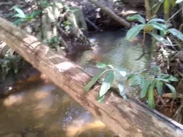 Imagem 16: Terra em Itaberaí -Go - Muito Boa