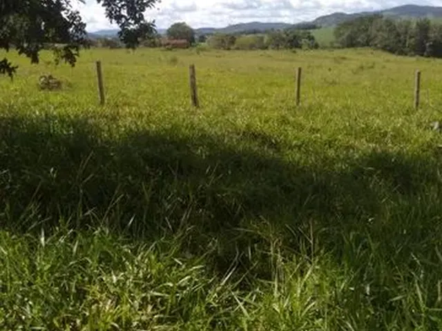 Imagem 8: Terra em Itaberaí -Go - Muito Boa