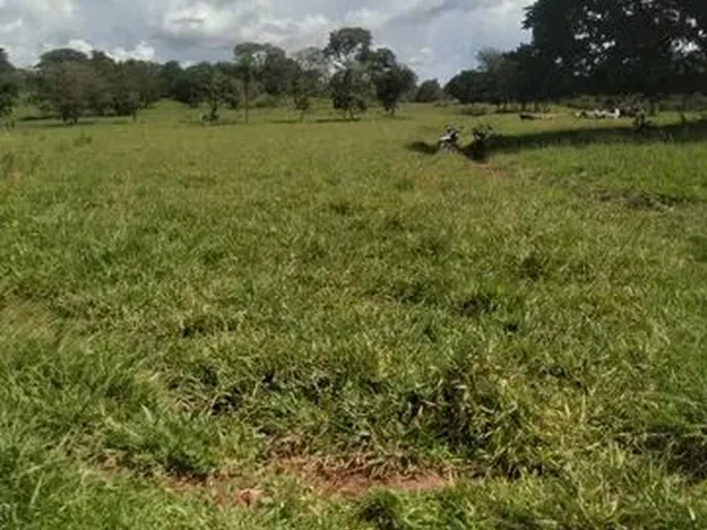 Imagem 14: Terra em Itaberaí -Go - Muito Boa