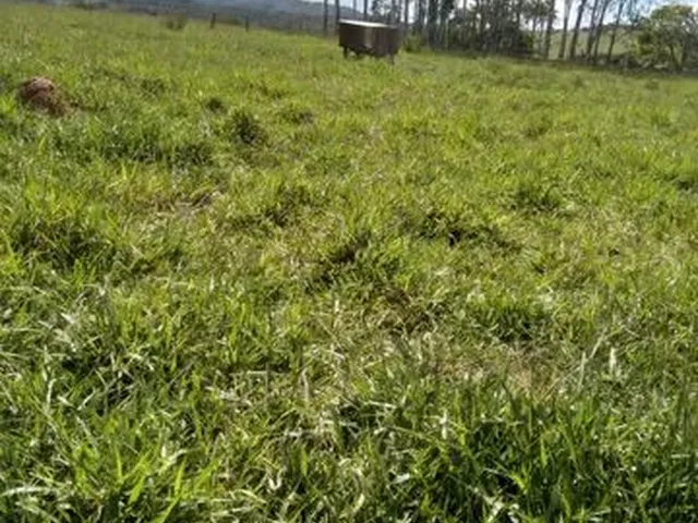 Imagem 10: Terra em Itaberaí -Go - Muito Boa