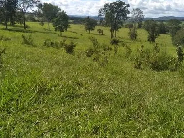 Imagem 9: Terra em Itaberaí -Go - Muito Boa