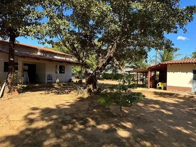 Imagem: Vendo Granja em Macaiba