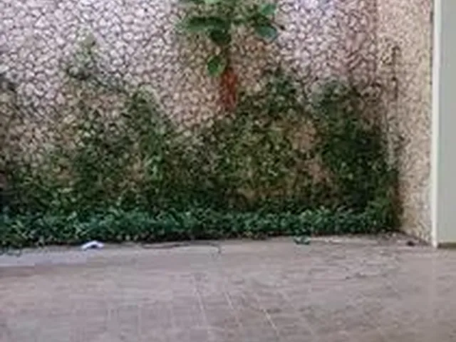 Imagem 9: Casa para Locação na Zona Leste