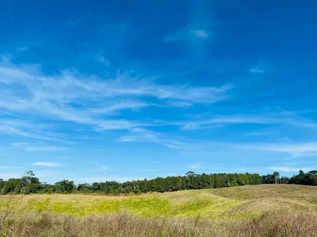 Imagem: Lote/Terreno para Venda com 500 Metros Quadrados
