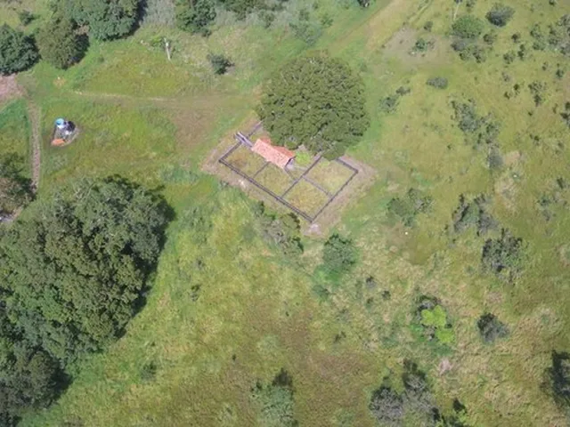 Imagem: Fazenda em Almas. 28 Mil por Alqueire