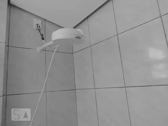Imagem 7: Apartamento para Aluguel - Centro, 2 Quartos, 75 M2