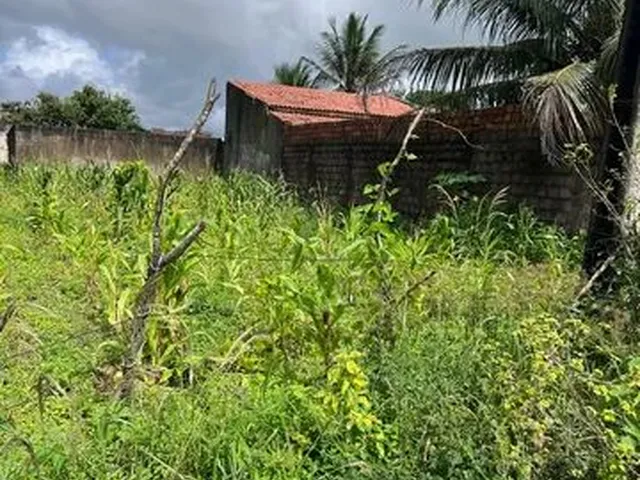 Imagem: Vendo e Troco Terreno nas Batingas por Trás