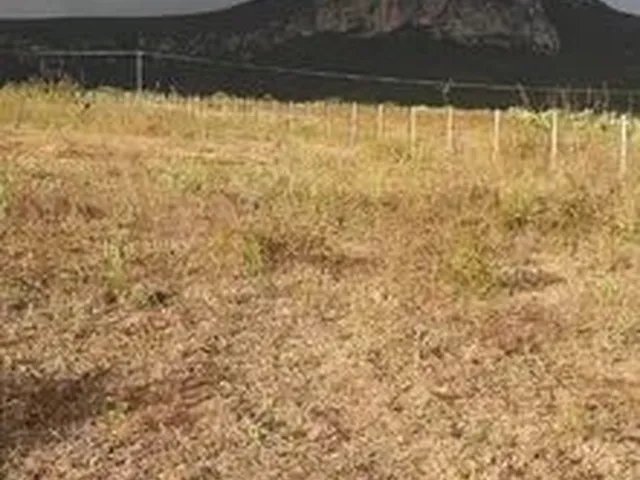 Imagem: Belo Terreno em Mucuge -Ba