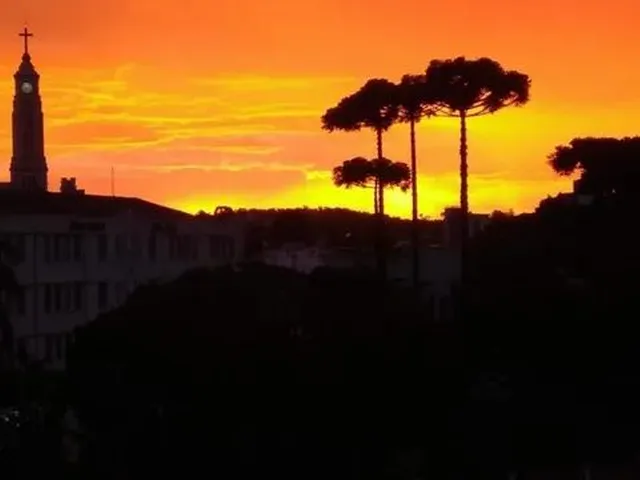 Imagem 5: Imperdível Apartamento com 3 dormitórios