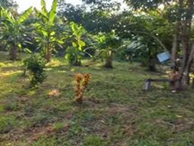 Imagem: A casa possui 1 Dormitório e está localizado em Cidade