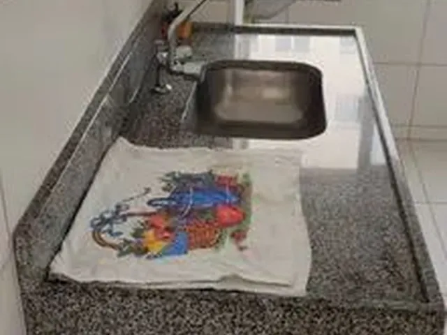 Imagem 10: Apartamento em Vista das Embaúbas