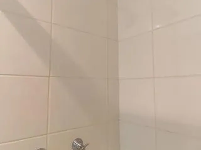 Imagem 4: Apartamento para Aluguel - Guaíra, 3 Quartos, 68 M2