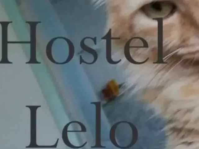 Imagem 16: Hostel Lelo 450,00 Apenas *Wats