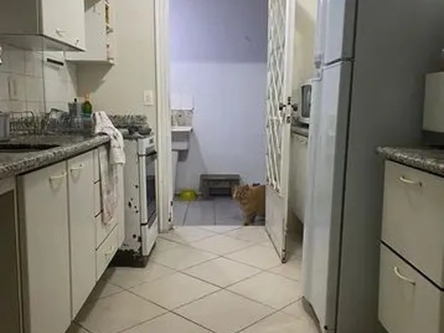 Imagem 8: Aluguel 2 Quartos no Coração de Pinhais