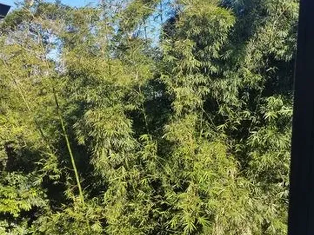 Imagem 1: Apartamento para Aluguel Tem 65 Metros Quadrados com 2 Quartos em Trobogy - Salvador - Bah