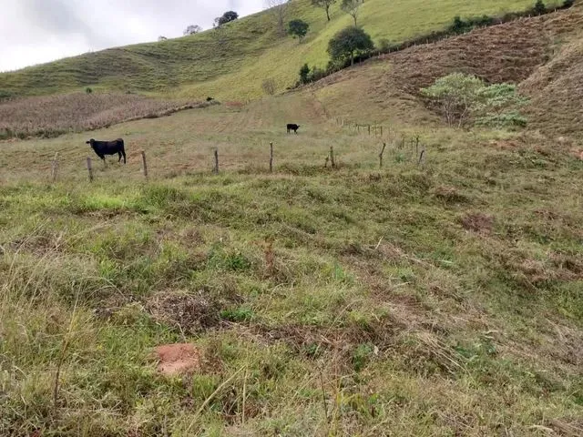 Imagem: Linda Chácara na Serra da Mantiqueira no