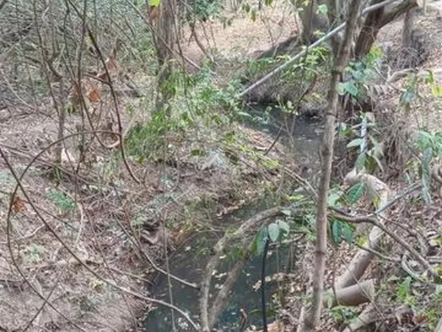 Imagem 11: Chácara a Venda Ou Troca por Veículo