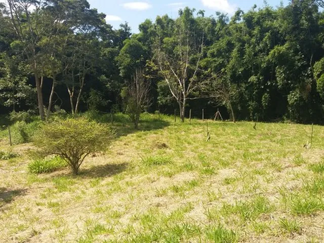 Imagem: Terreno em Conservatória 1500 M2