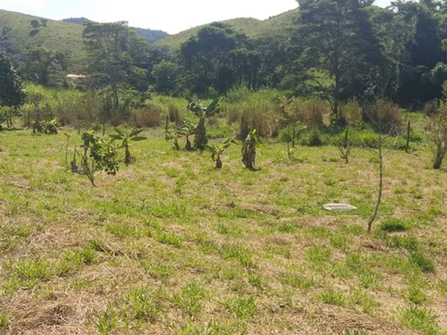 Imagem 5: Terreno em Conservatória 1500 M2