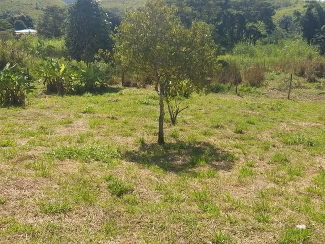 Imagem 3: Terreno em Conservatória 1500 M2