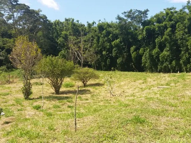 Imagem 6: Terreno em Conservatória 1500 M2