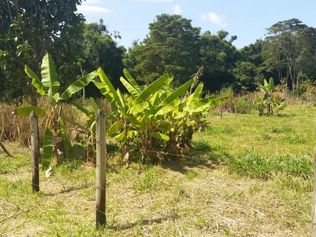 Imagem 4: Terreno em Conservatória 1500 M2