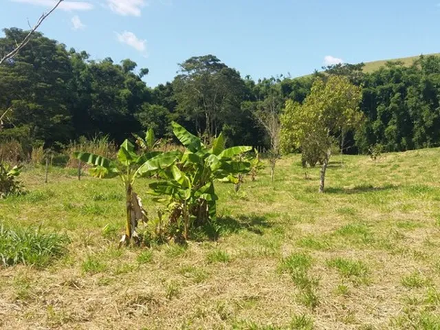 Imagem 2: Terreno em Conservatória 1500 M2