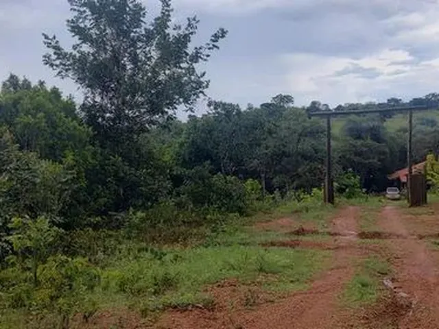 Imagem 6: Chácara de Mil Metros em Palmital Mg