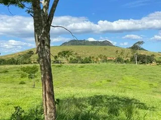 Imagem: Vendo Chácara em Lugar Maravilhoso, Perto