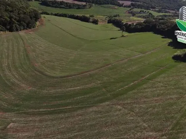 Imagem: 8,5 Alqueires a Venda em Cornélio Procópio